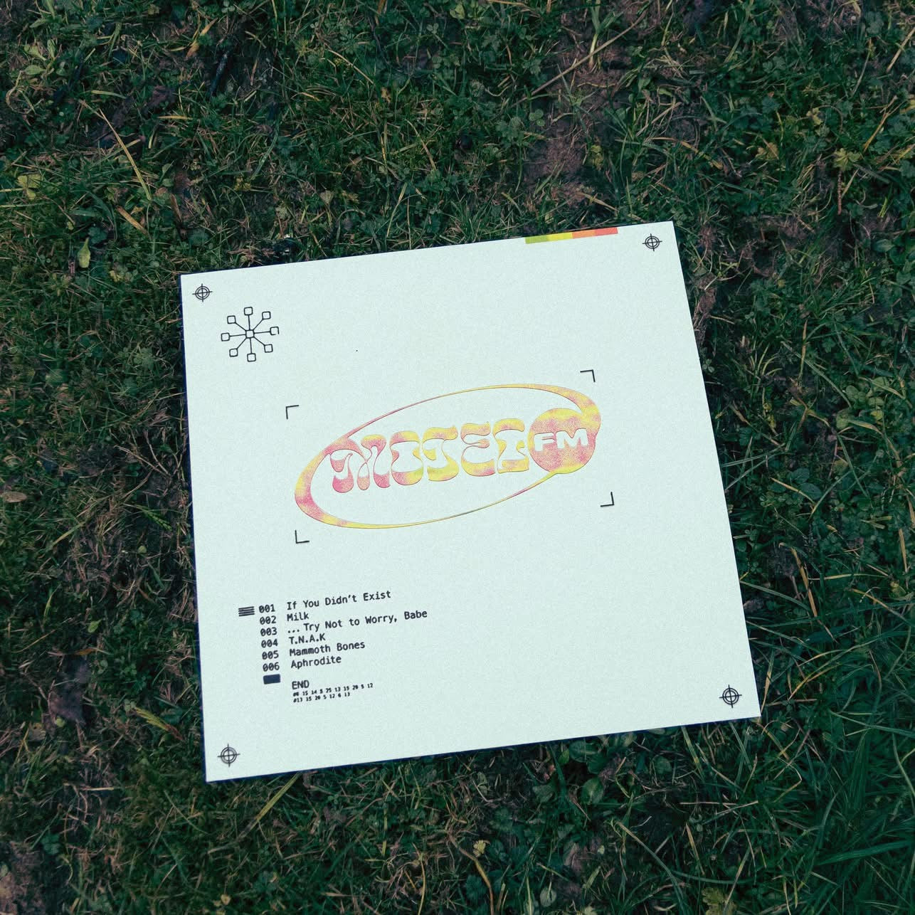 motel fm vinyl